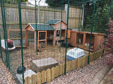 metal rabbit enclosure|outdoor rabbit enclosure ideas.